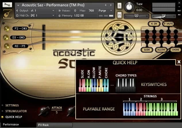 Acoustic Saz image 5