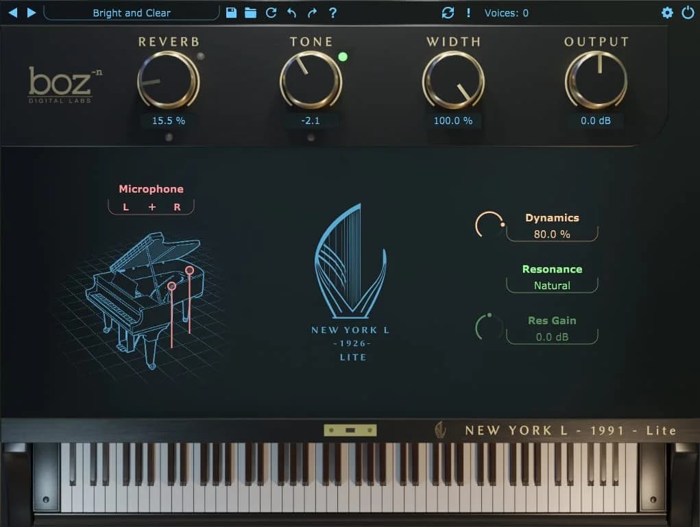 Boz Digital New York L 1991 Lite image 2