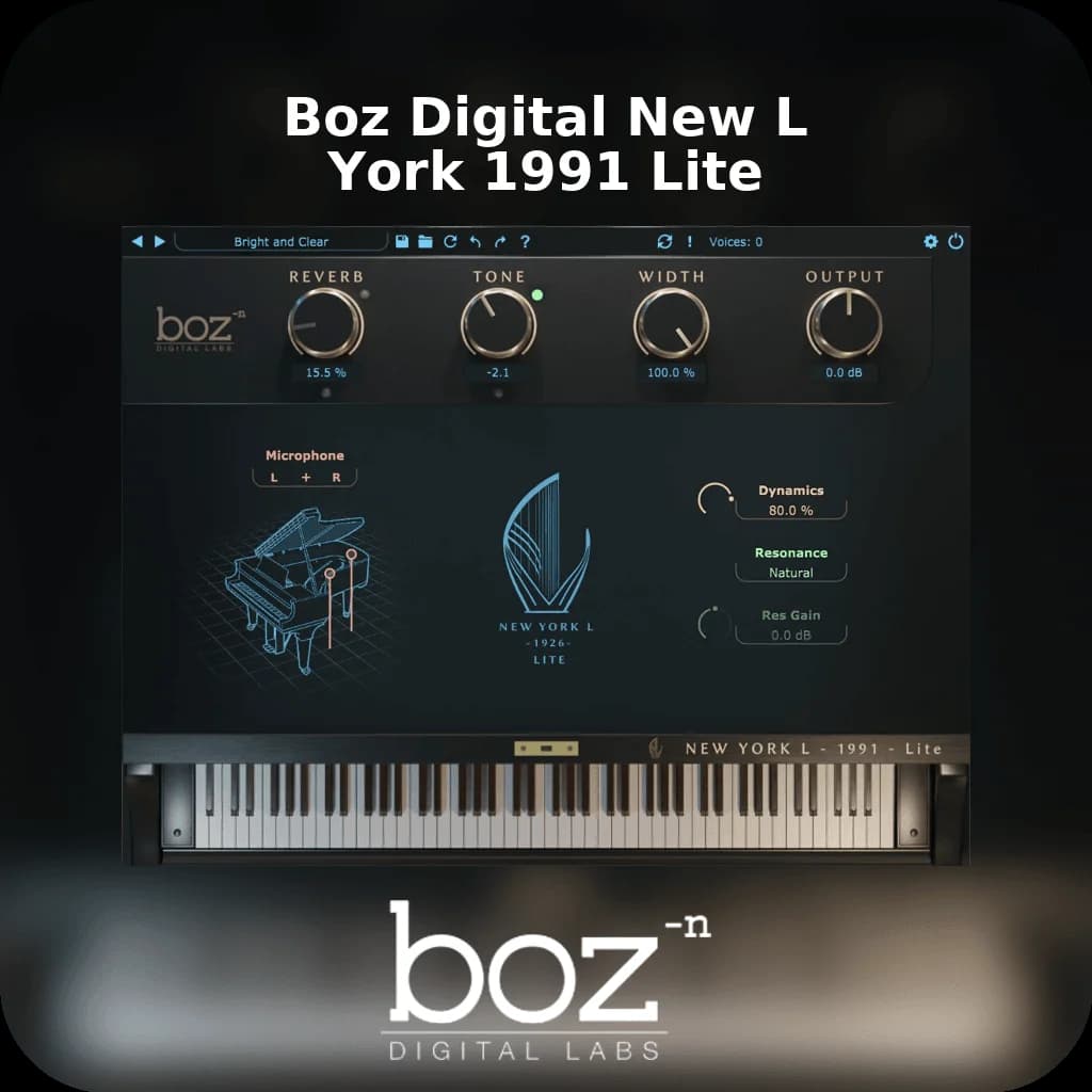 Boz Digital New York L 1991 Lite image 1