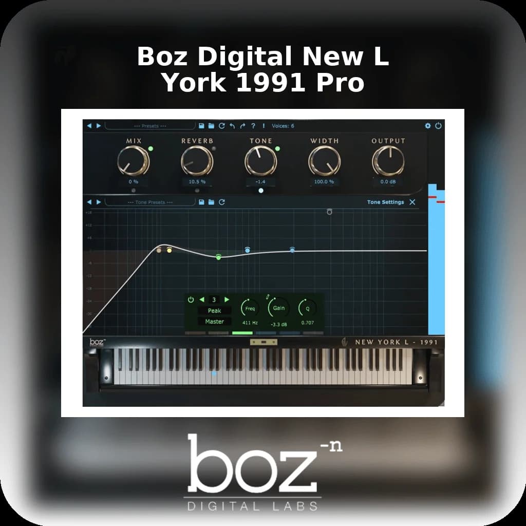 Boz Digital New York L 1991 Pro image 1