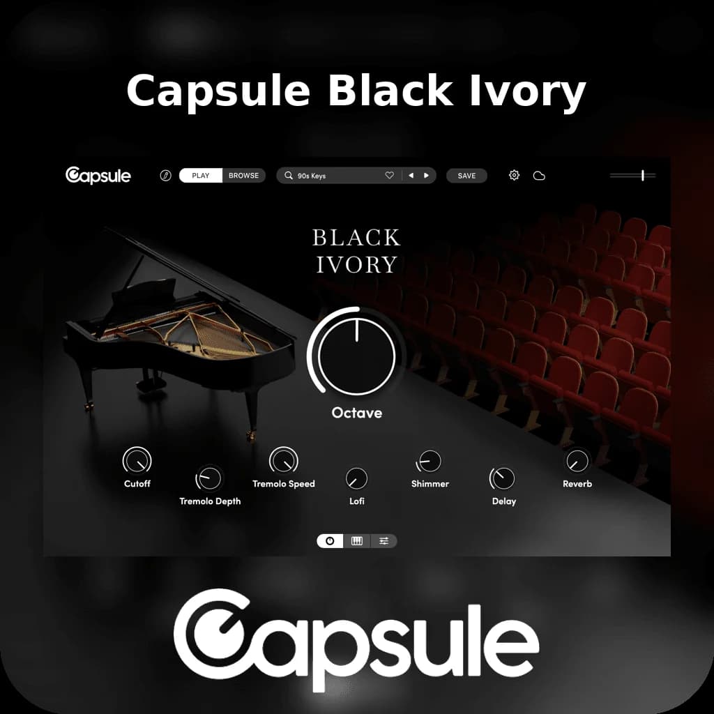 Capsule Black Ivory image 1