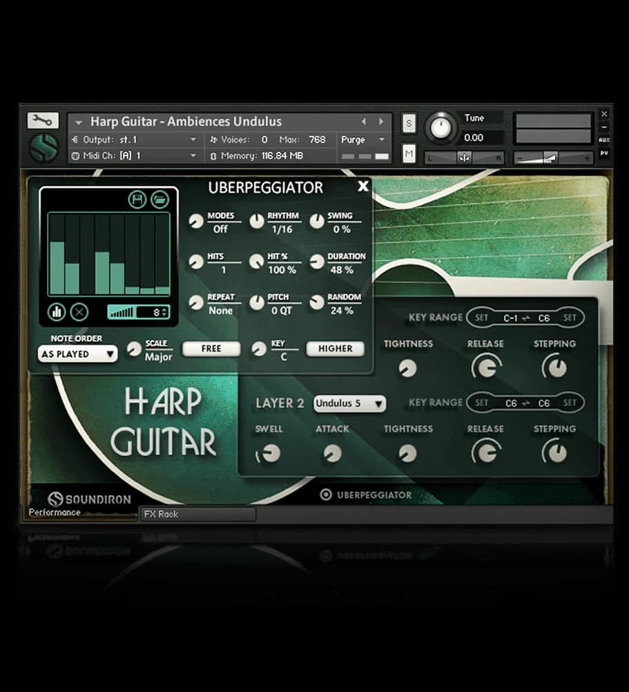 Harp Guitar image 11