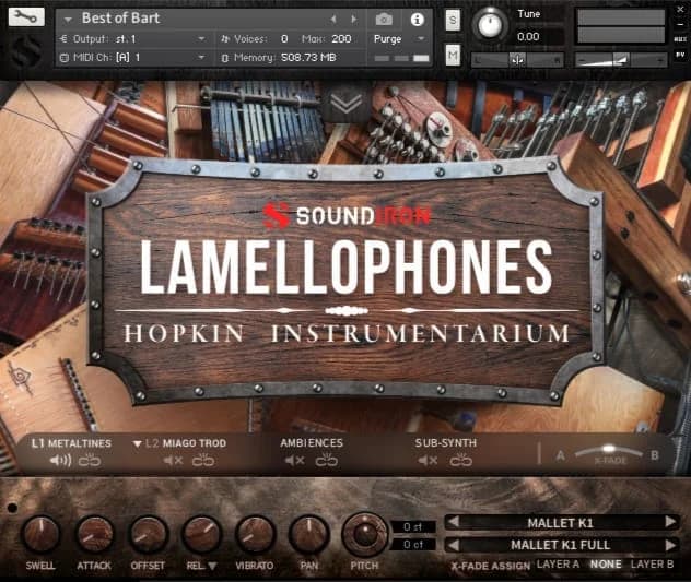 Lamellophones image 2