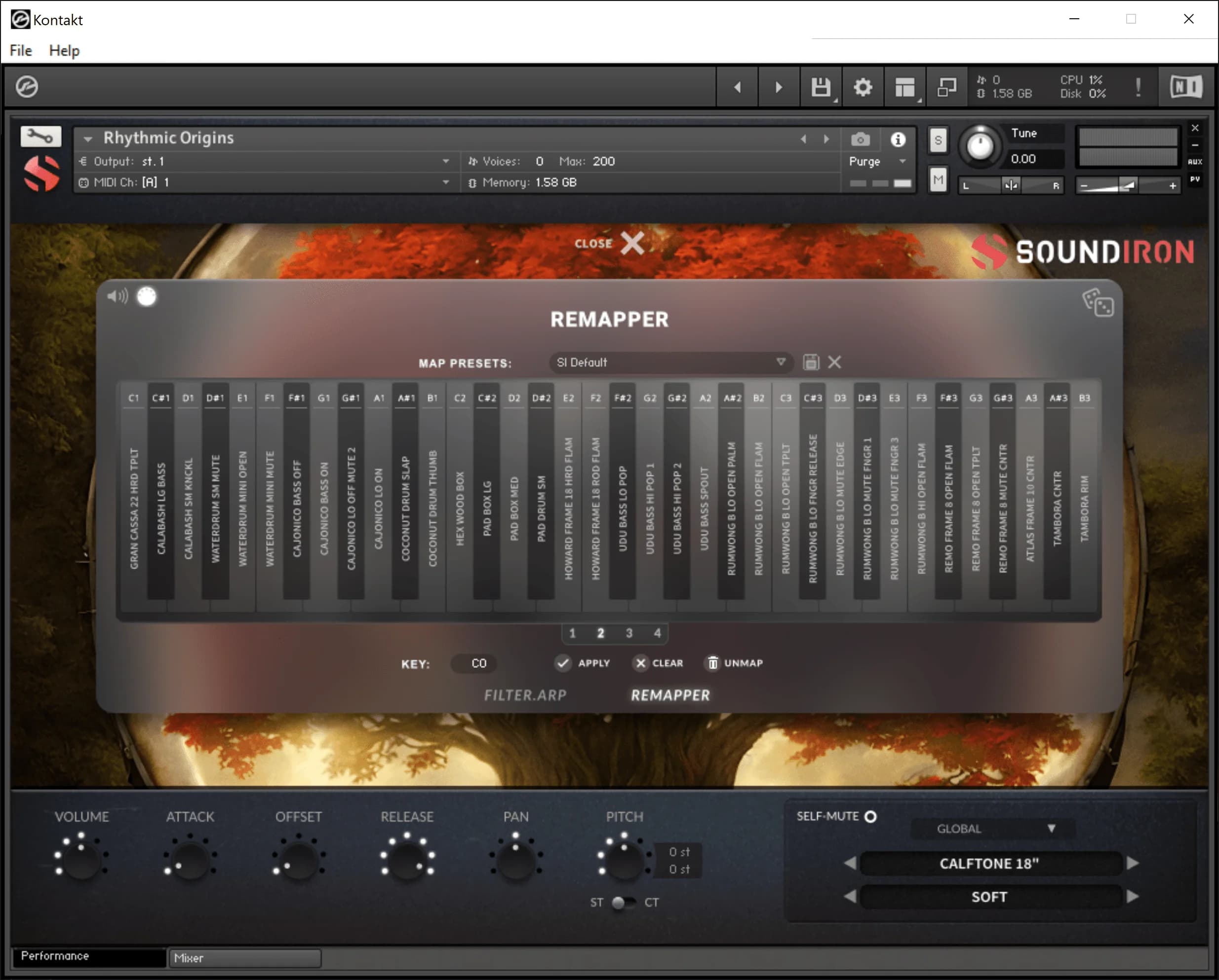 Rhythmic Origins image 7