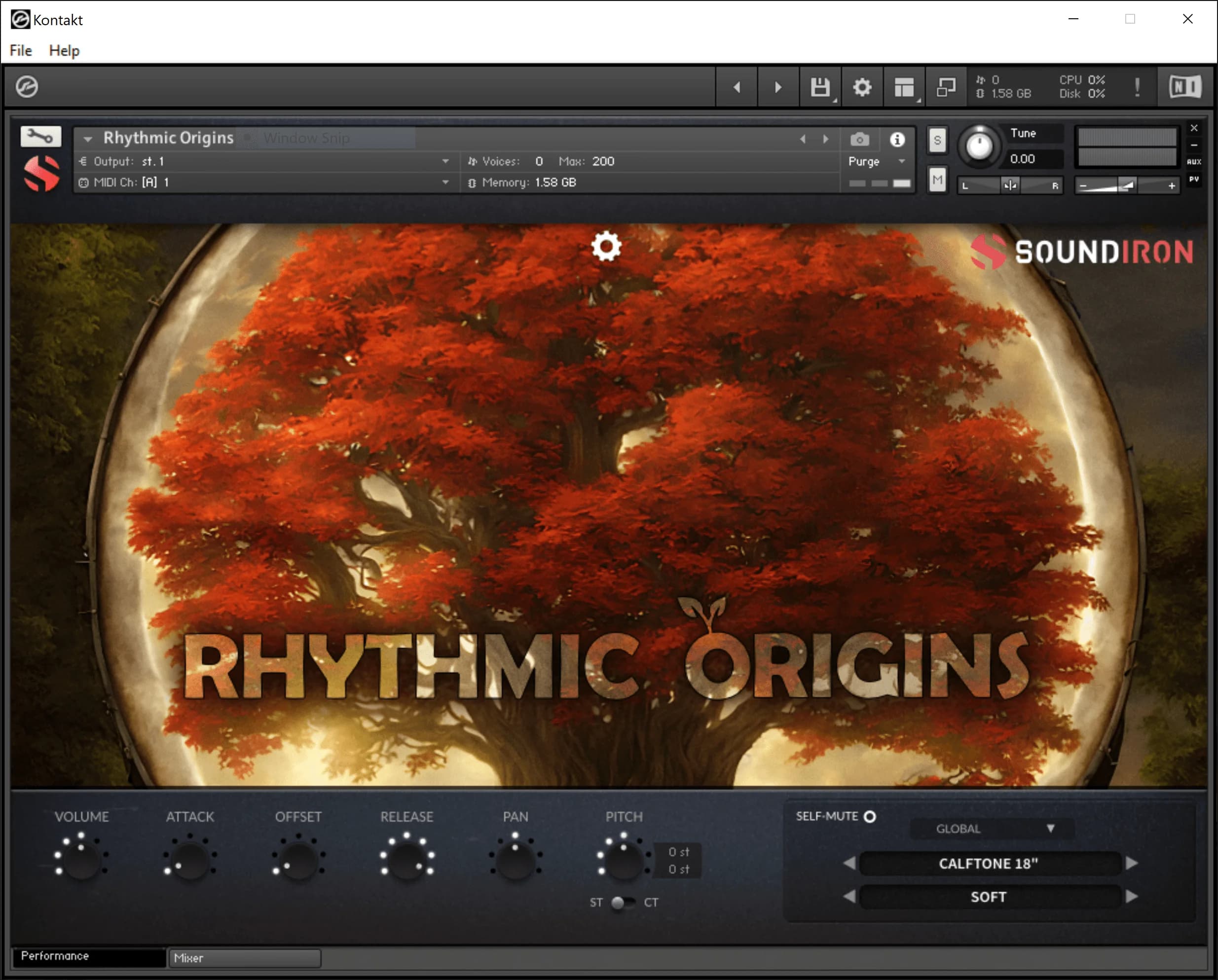 Rhythmic Origins image 4