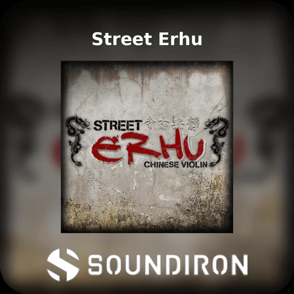 Street Erhu