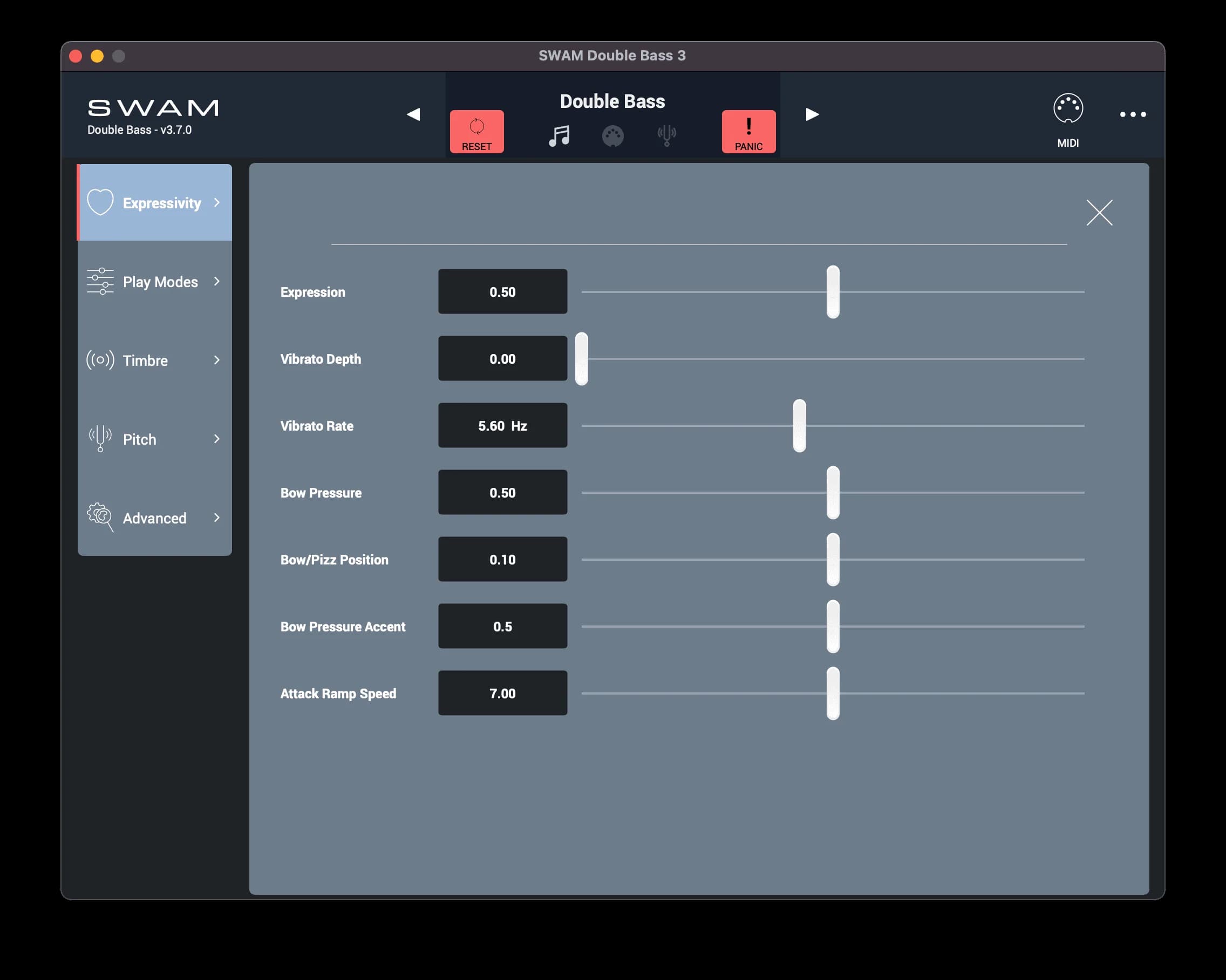 SWAM Double Bass image 2