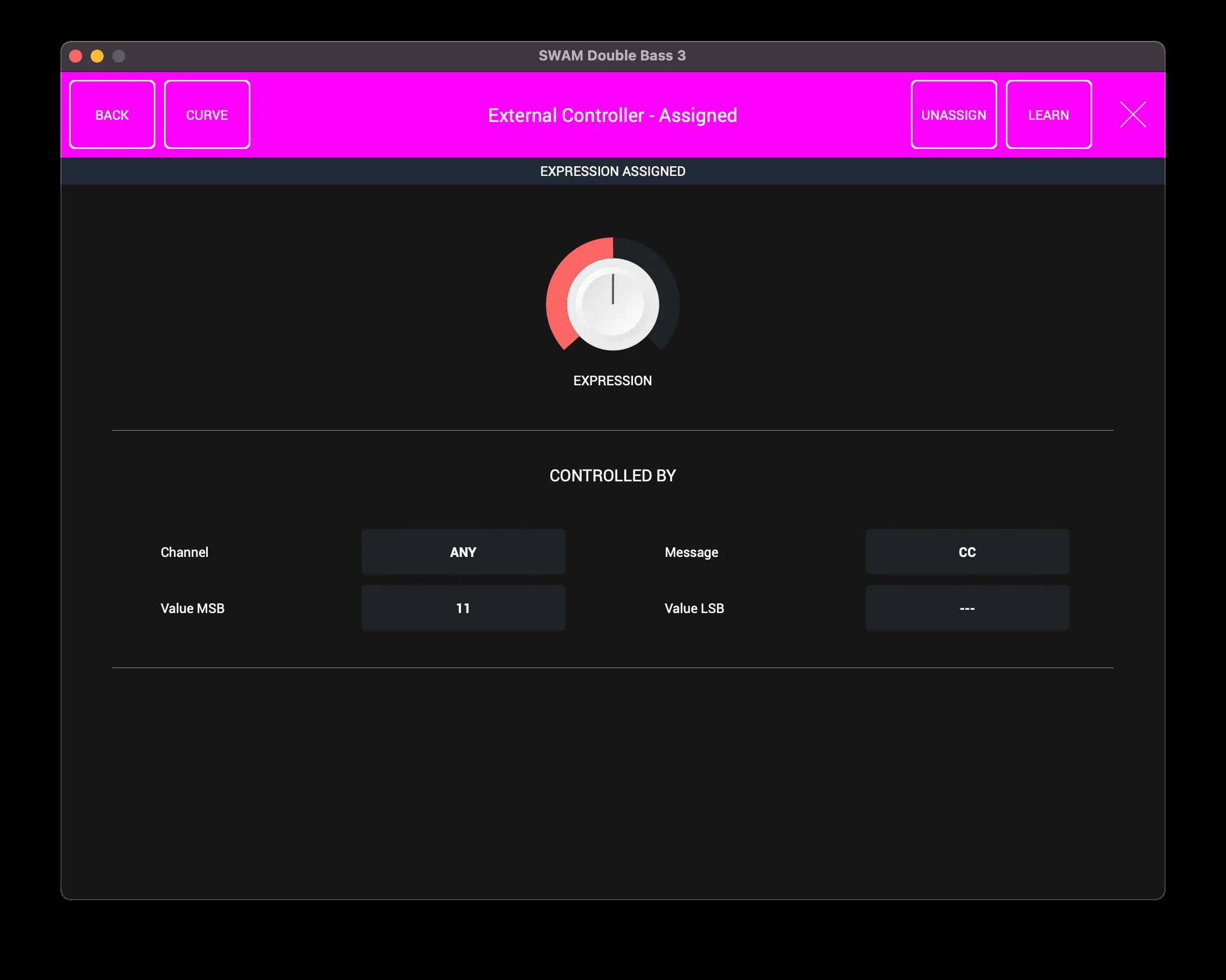 SWAM Double Bass image 11