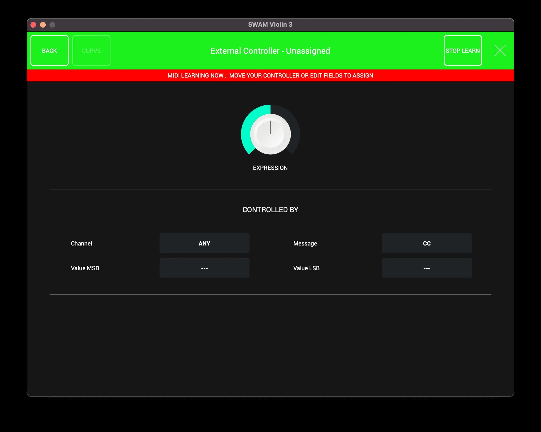 SWAM Solo Strings Bundle image 7