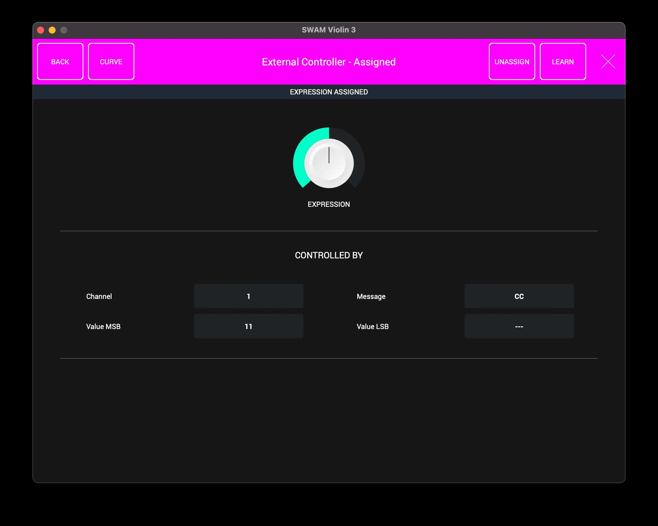 SWAM Solo Strings Bundle image 8