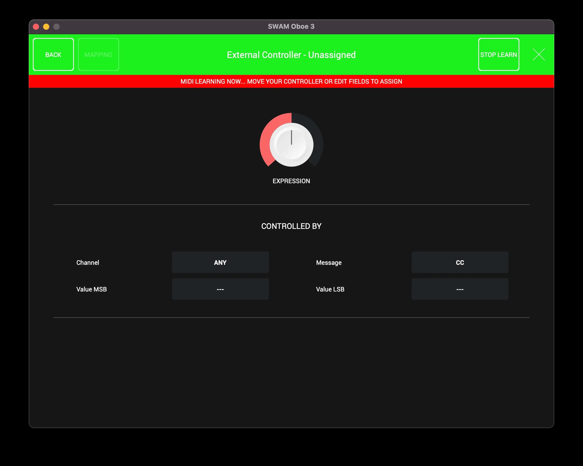 SWAM Solo Woodwinds Bundle image 5