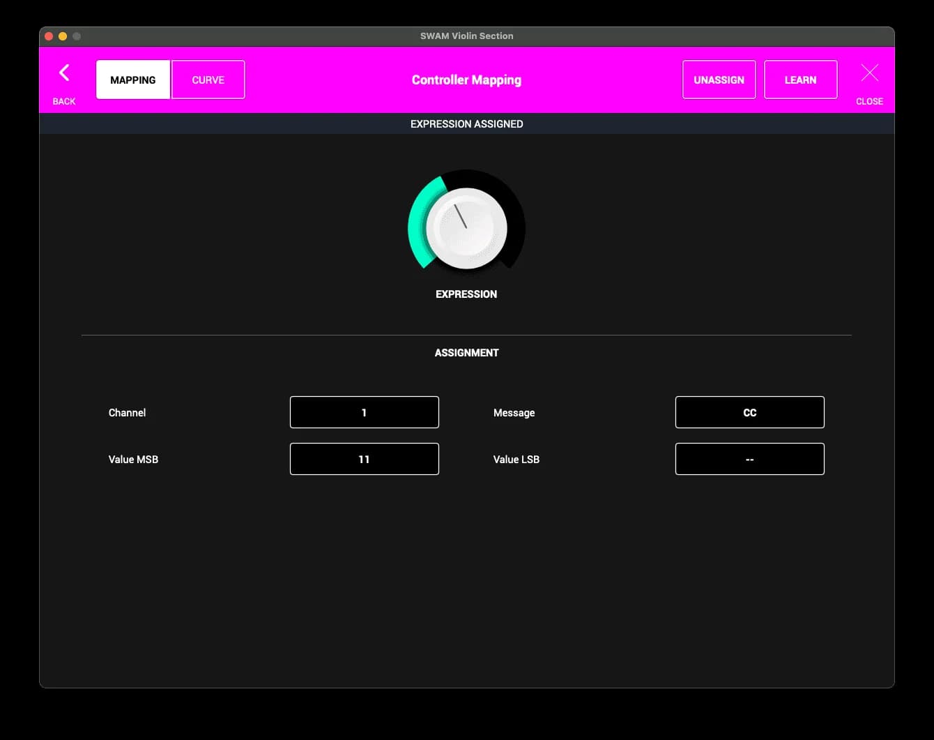 SWAM String Sections image 16