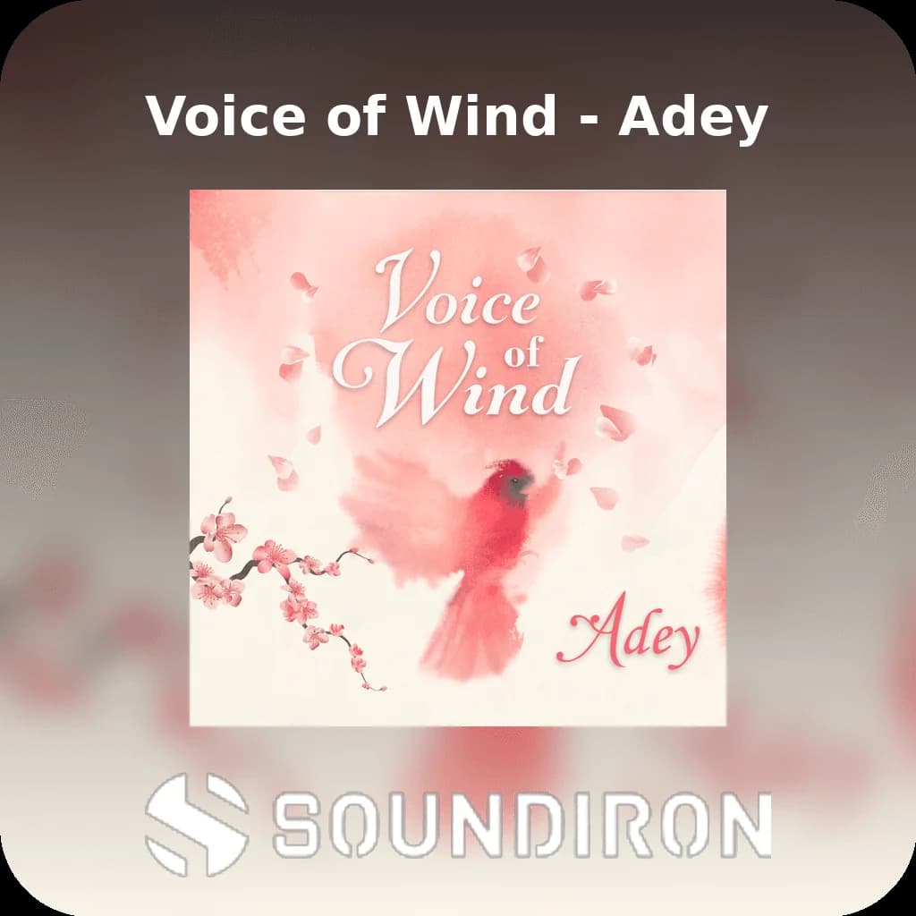 Voice of Wind - Adey image 1