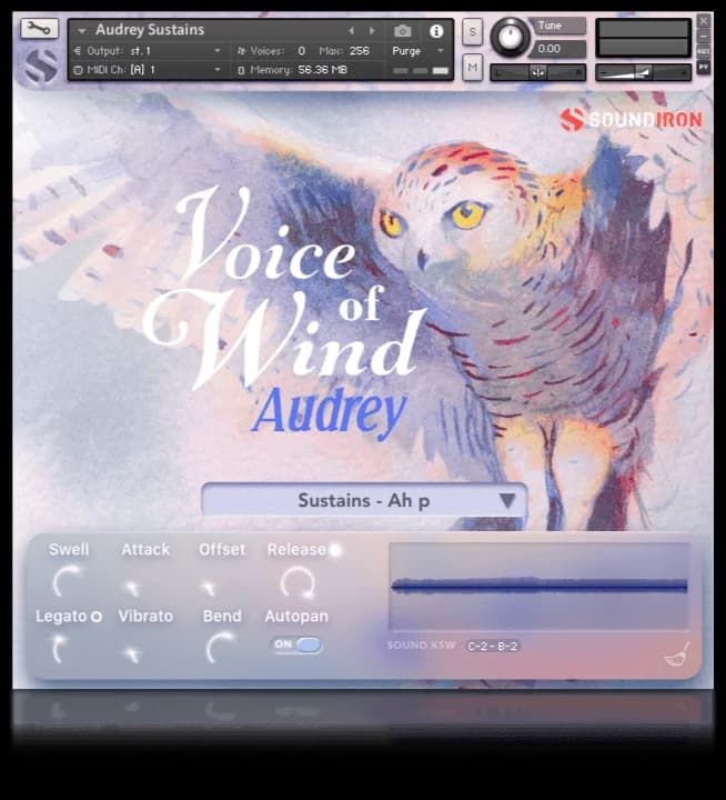 Voice of Wind - Audrey image 6