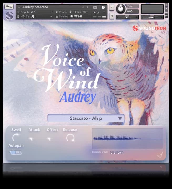 Voice of Wind - Audrey image 5