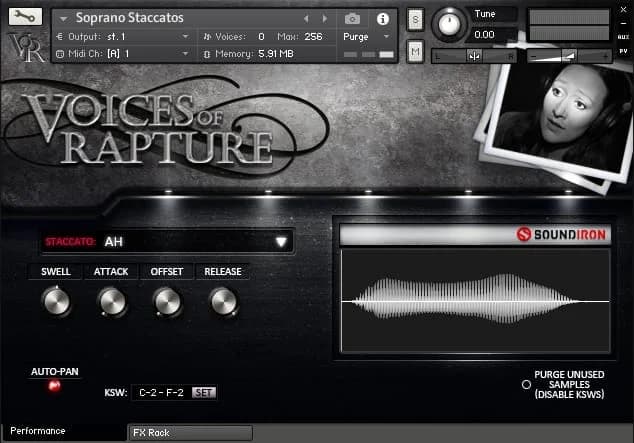 Voices Of Rapture image 3