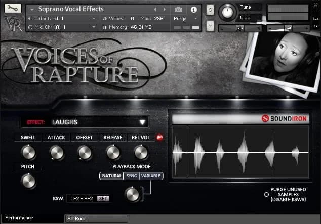 Voices Of Rapture image 2