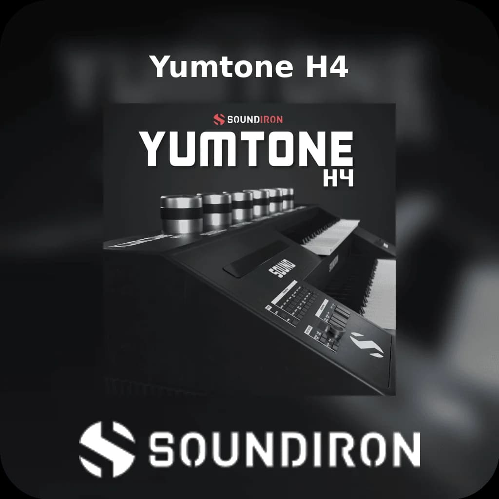 Yumtone H4 image 1