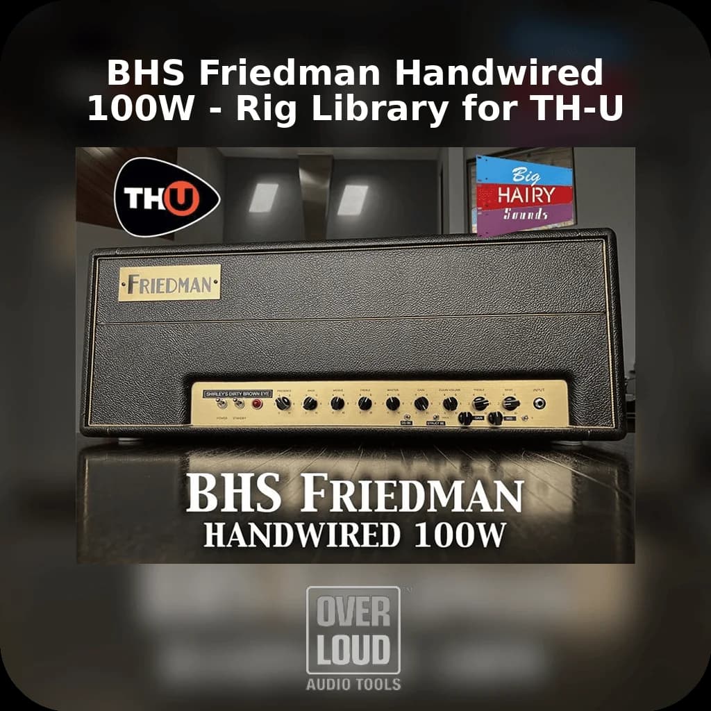 BHS Friedman Handwired 100W - Rig Library for TH-U image 1
