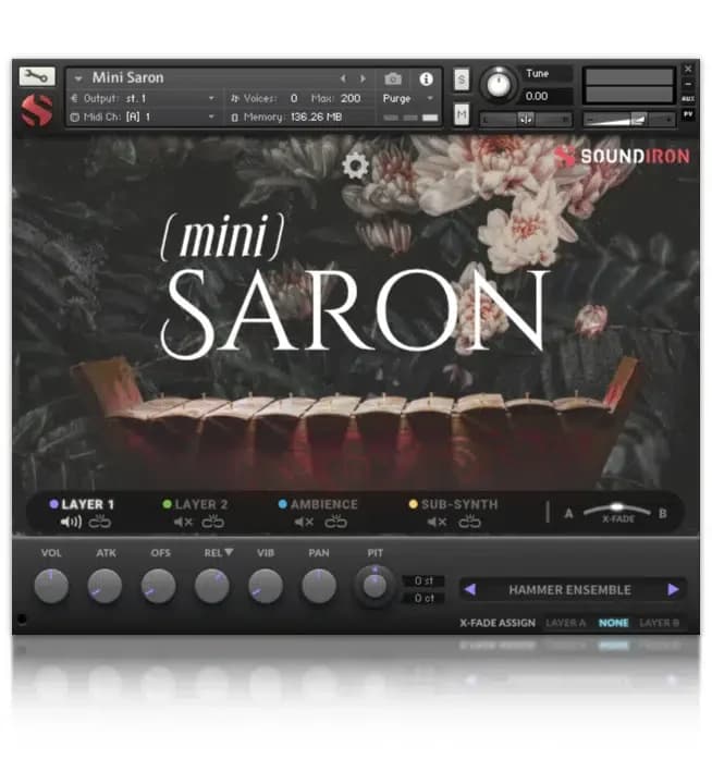 Mini Saron image 4