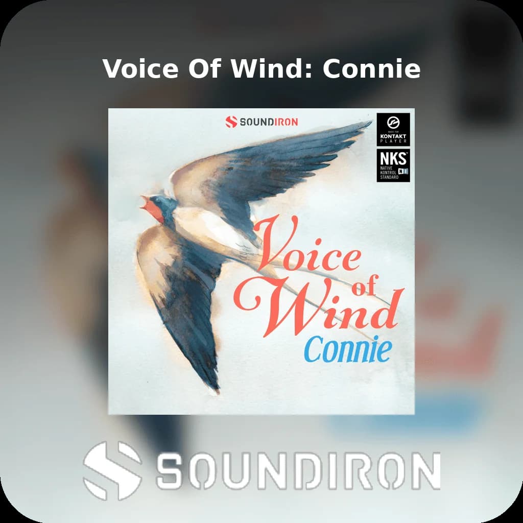 Voice Of Wind: Connie image 1