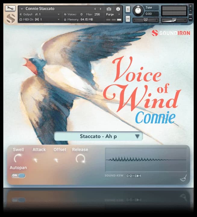 Voice Of Wind: Connie image 5