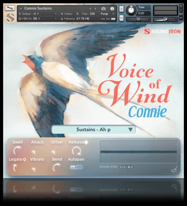 Voice Of Wind: Connie image 6