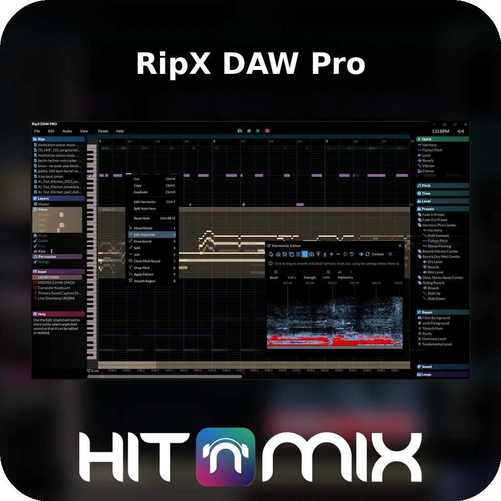 RipX DAW PRO