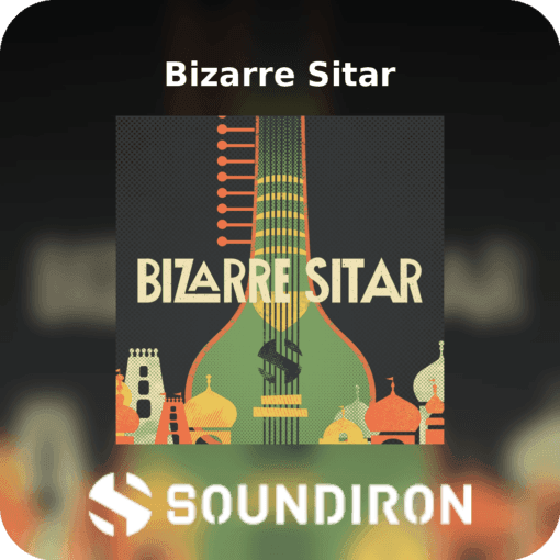 Bizarre Sitar