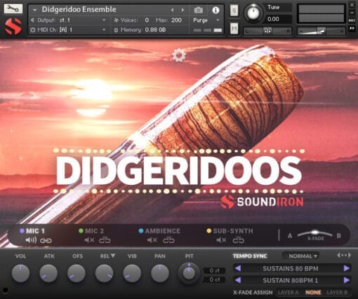 Didgeridoos - Image 6