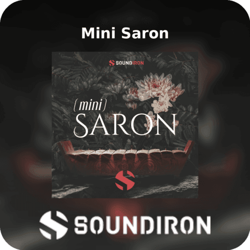 Mini Saron