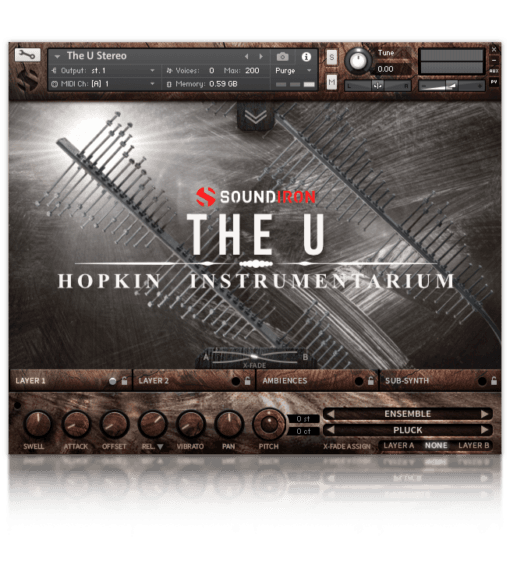 The U - Image 3