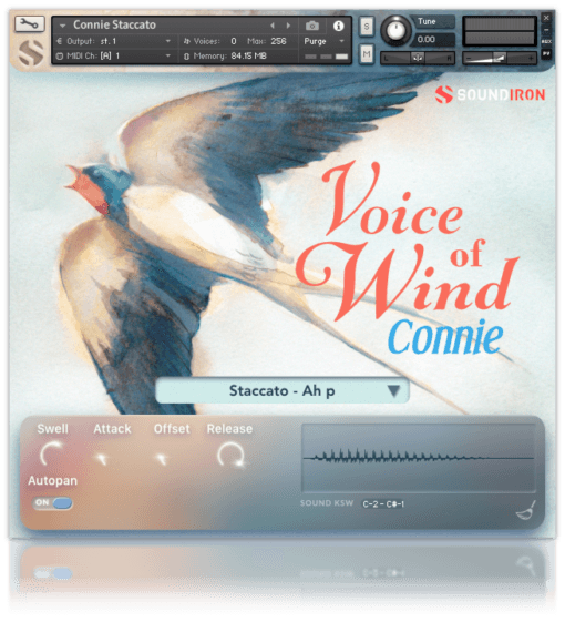 Voice Of Wind: Connie - Image 5