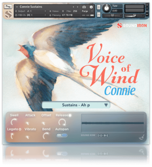 Voice Of Wind: Connie - Image 6