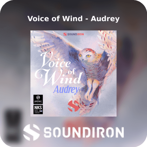 Voice of Wind - Audrey