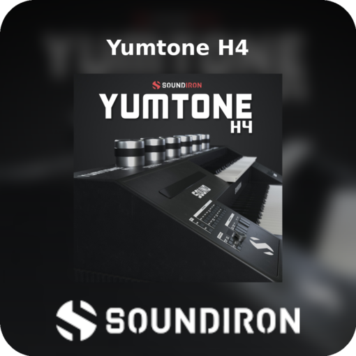 Yumtone H4