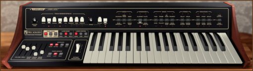 Pro Soloist Synthesizer - Image 3