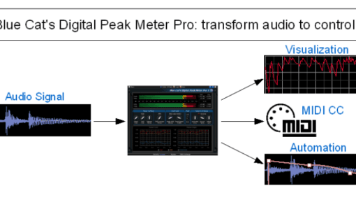 Blue Cat DP Meter Pro - Image 6