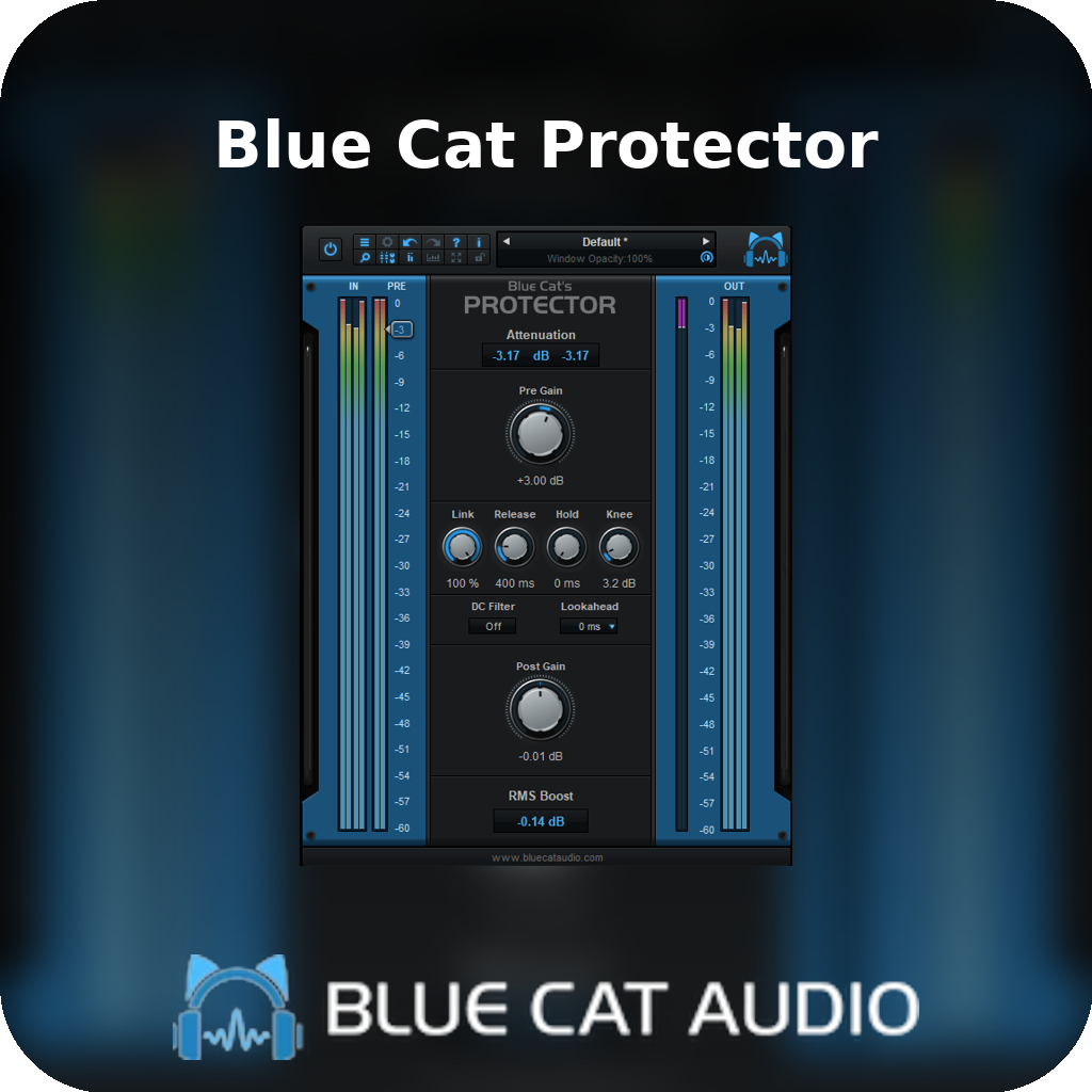 Blue cat fashion protector