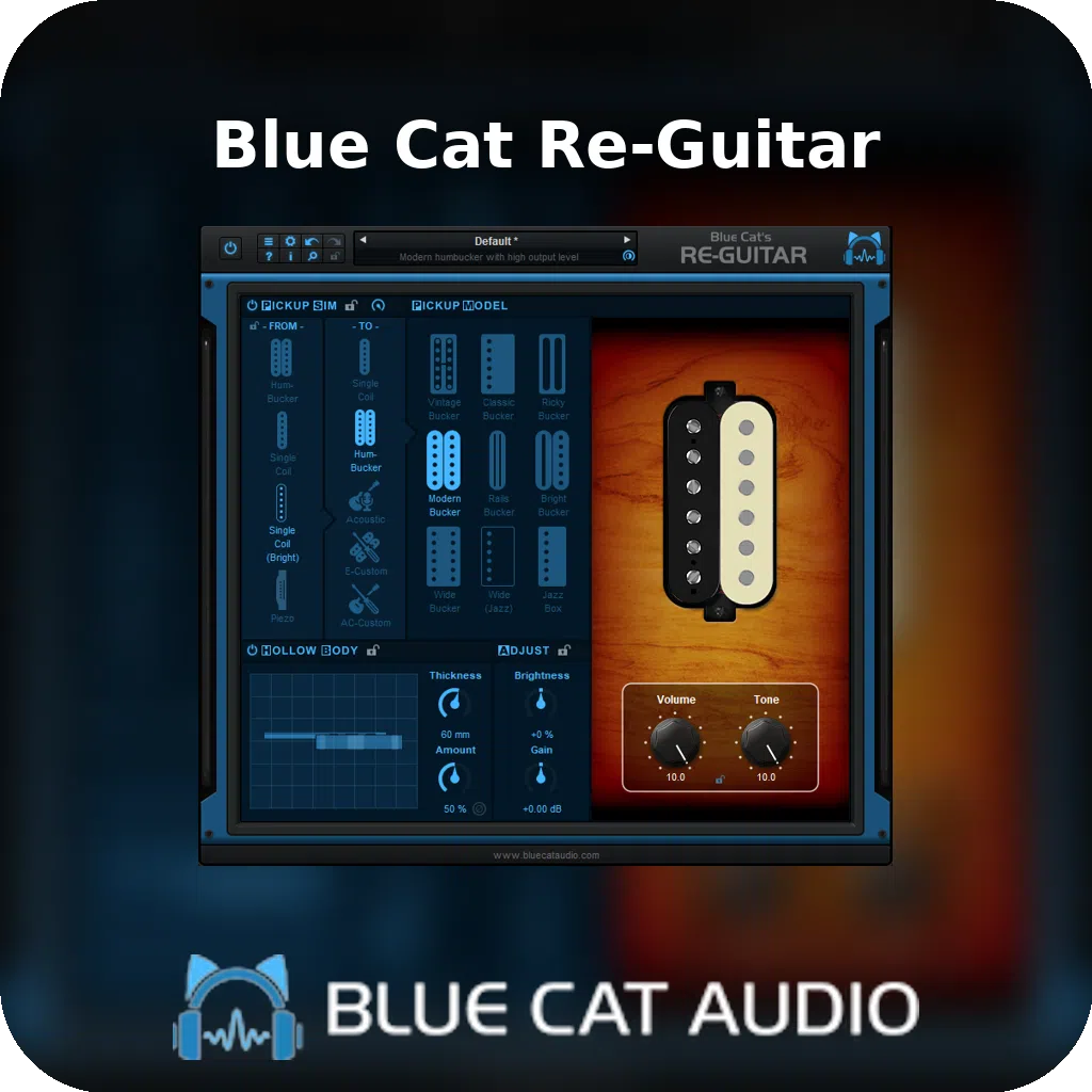 Blue Cat Re-Guitar