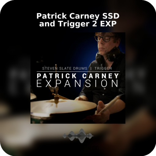 Patrick Carney SSD and Trigger 2 EXP