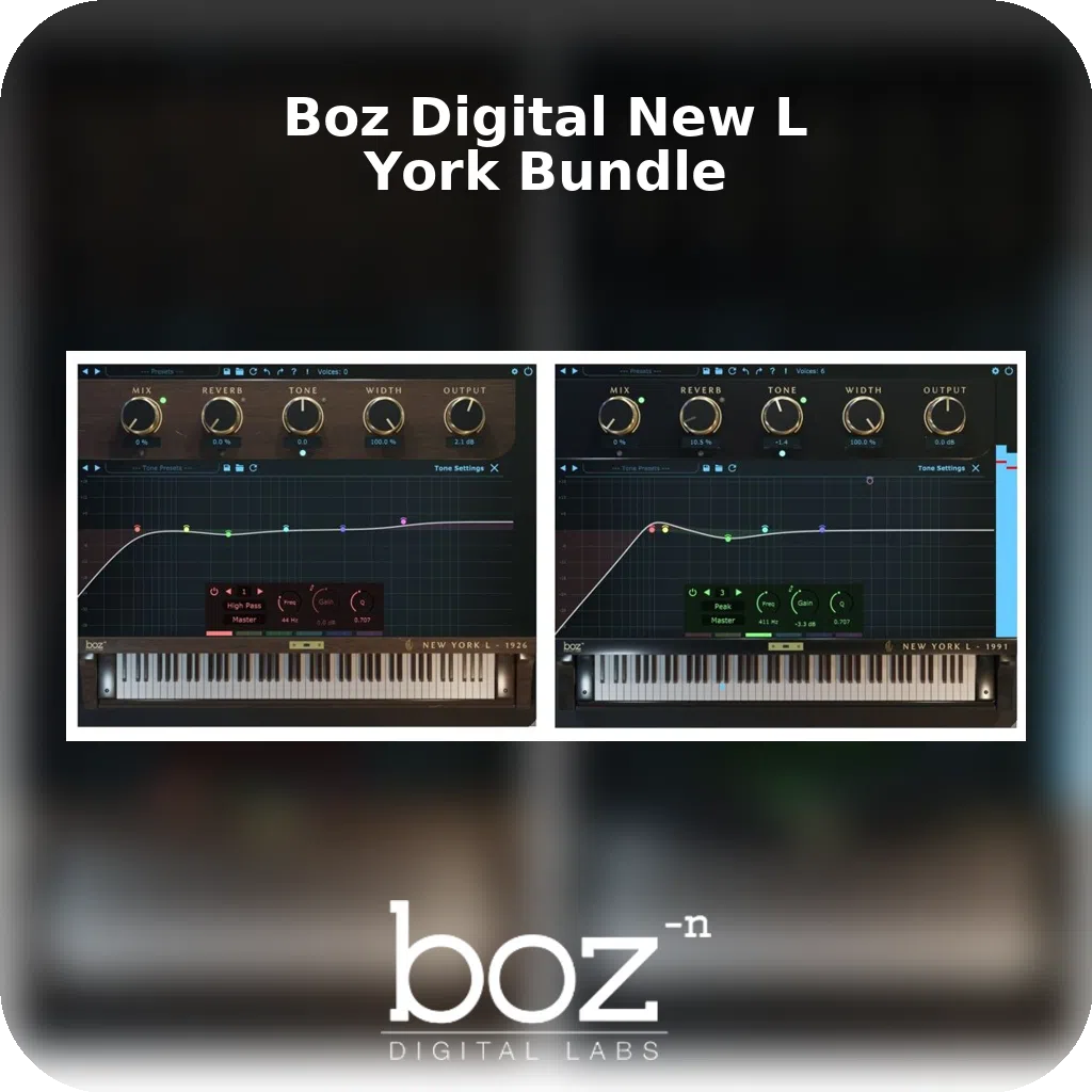 Boz Digital New York L Bundle