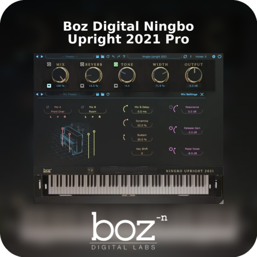 Boz Digital Ningbo Upright 2021 Pro