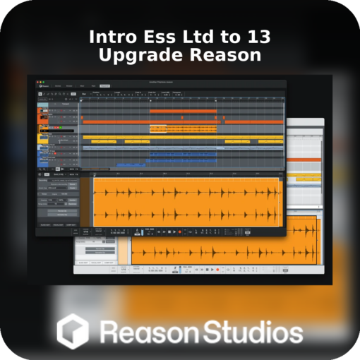 Reason 13 Upgrade from Intro / Essentials / Adapted / Lite