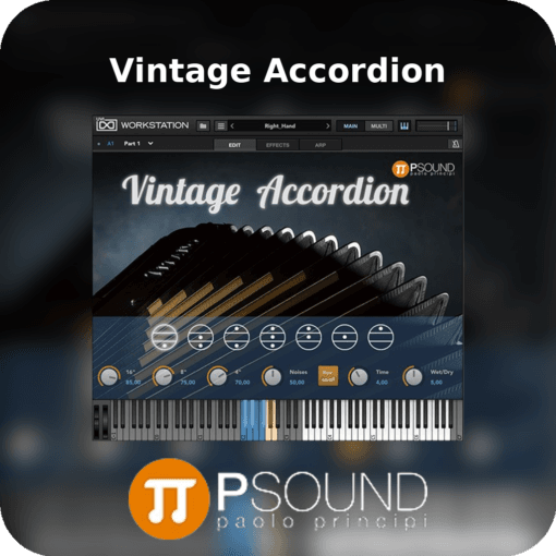 Vintage Accordion